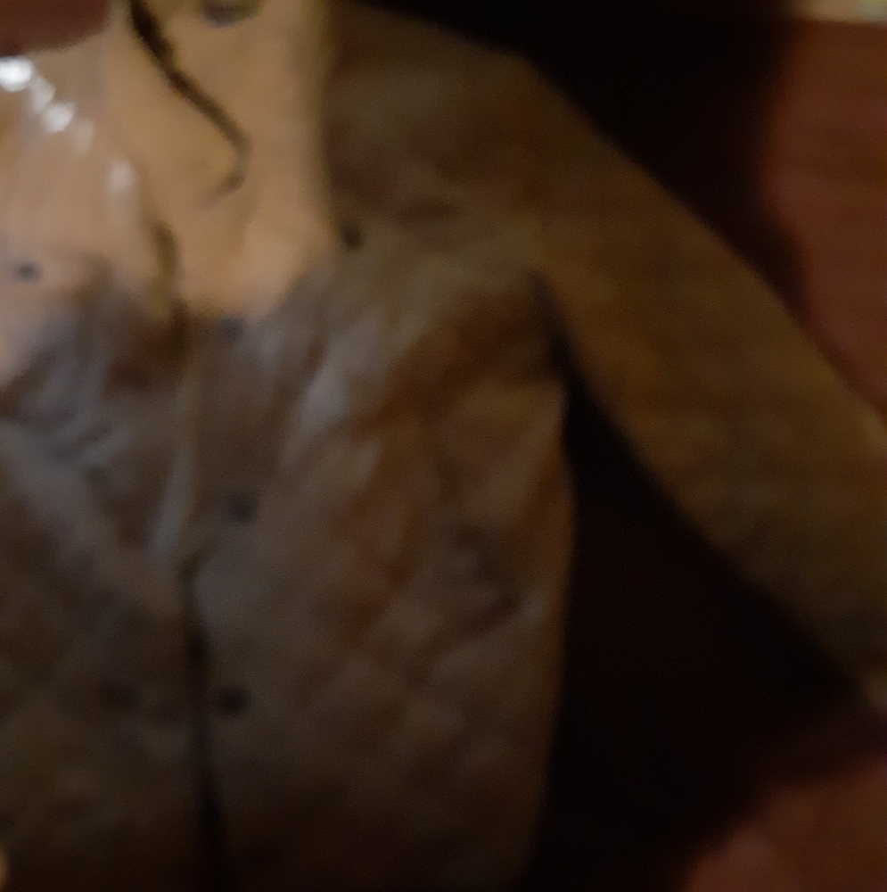 Coat - Picture 3 of 3